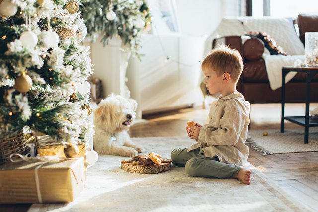 Niño con el árbol de Navidad