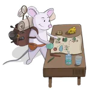 Ratoncito Perez preparando visitas
